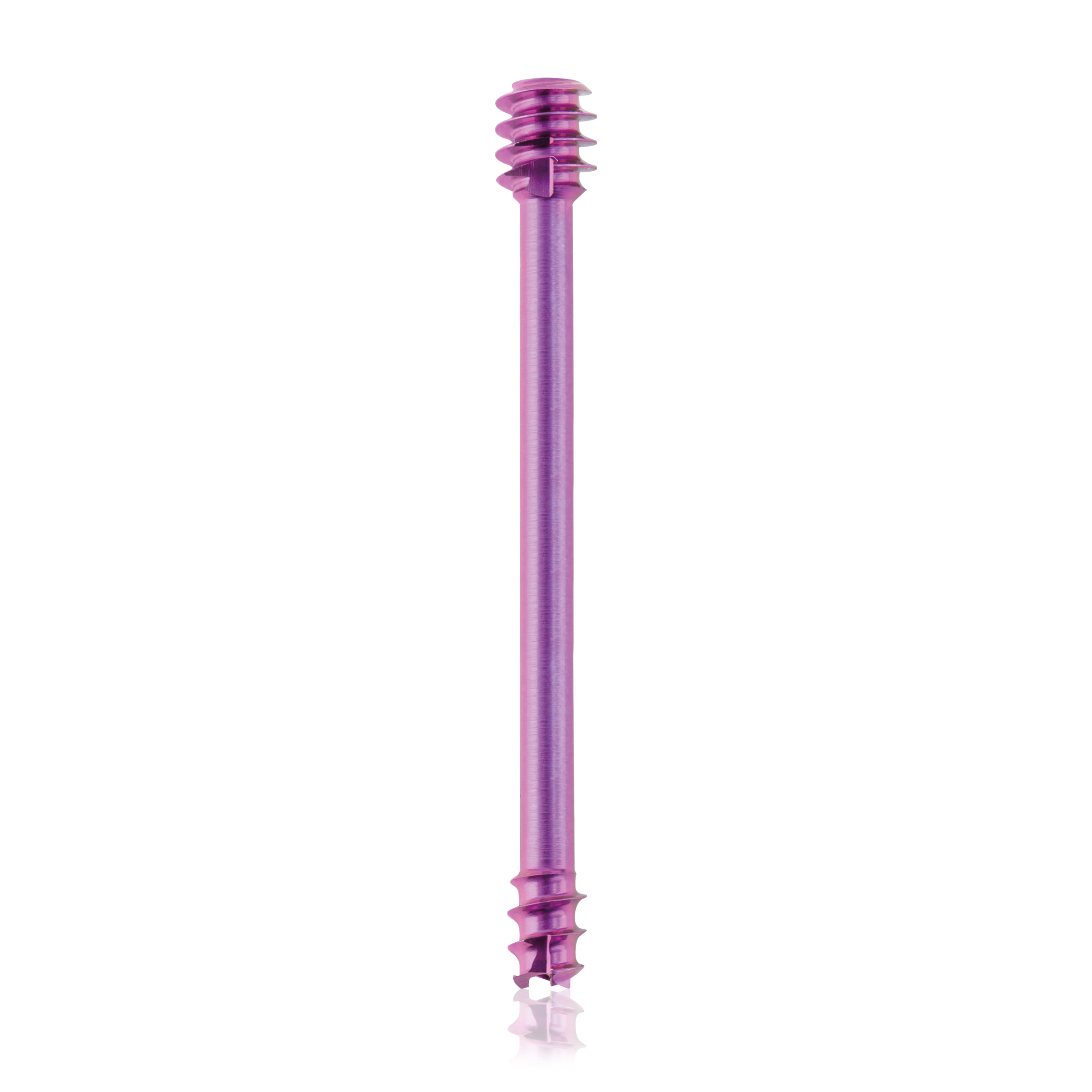 L = 26mm